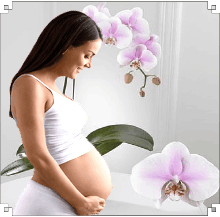 Obstetrica si ginecologie - Viorica Turcan